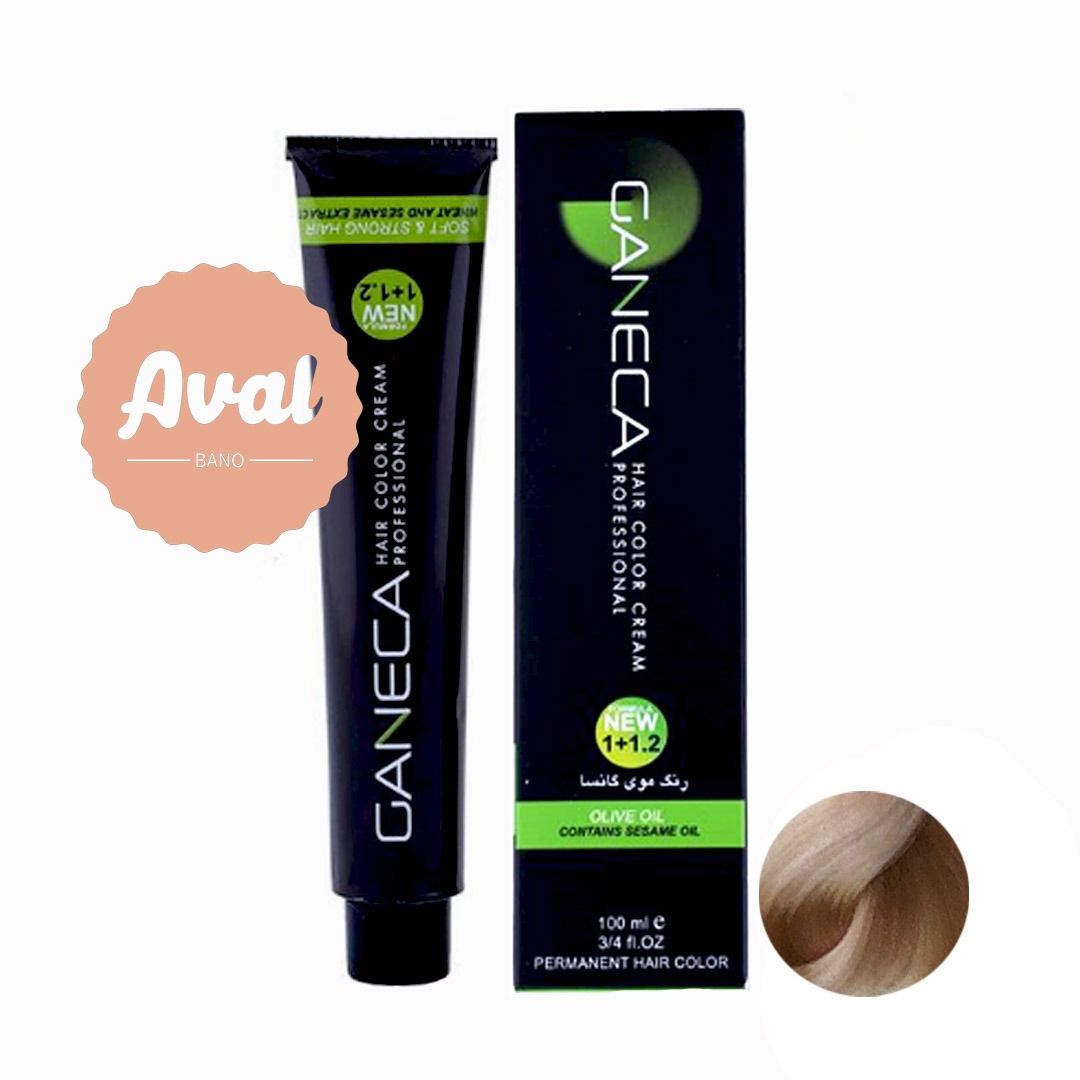 رنگ مو گانسا B9